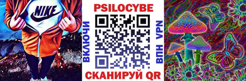 Псилоцибиновые грибы Psilocybe  Купить где  Себеж 